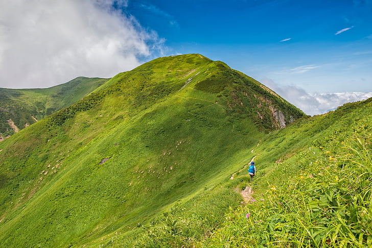 hegyi, trekking, Hakusan, nemzeti park, nyári, Japán, természet