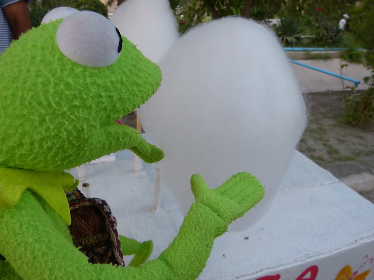 kermit, frog, cotton candy, buy, eat, sweet