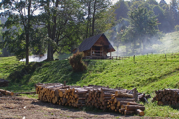 Cabaña, casa de campo, montañas, choza de pastor, madera, humo, Szczawnica