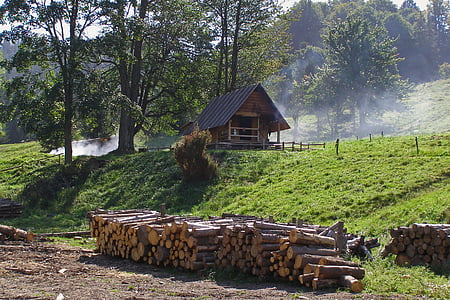 Hut, Cottage, montagnes, cabane de berger, bois, fumée, Szczawnica