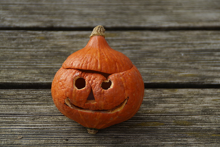 Halloween, pumpa, pumpa ghost, hösten, ansikte, Orange, fash