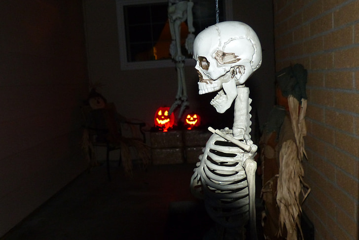 skeleton, halloween, spooky, holiday, bones, skull, horror