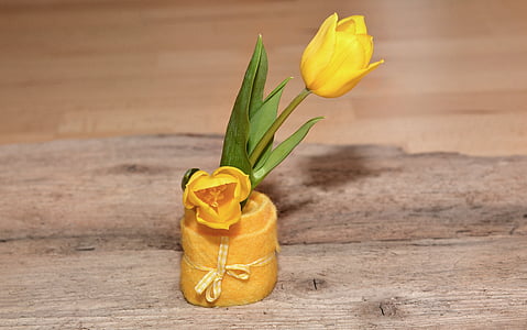 kwiat, schnittblume, wiosna kwiat, Żółty kwiat, Tulipan, Filc, produkt jest