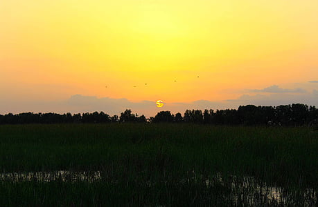 puesta de sol, paisaje, naturaleza, luz del sol, campo, salida del sol, amarillo