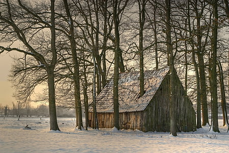 vinter, ladugården, stall, tak, skala, snö, trä
