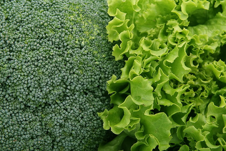 nafsu makan, brokoli, misalnya broccolli, kalori, katering, closeup, warna-warni