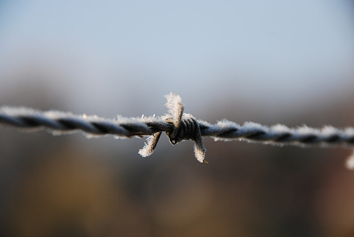 barbed wire, ziemas, Nogatavojies, ze, auksti