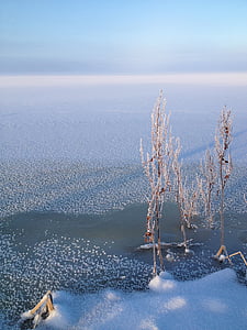 l'hivern, Suècia, gel, hjälstaviken, fred, neu, cobert de neu