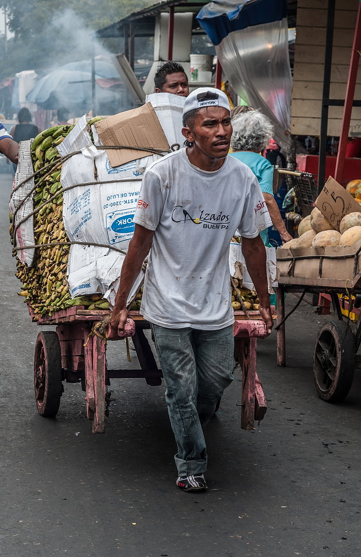 Maracaibo, Venezuela, uomo, lavoro, carrello, mercato, tirando