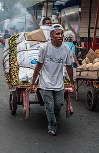 Maracaibo, Veneçuela, home, treballant, cistella, mercat, tirant