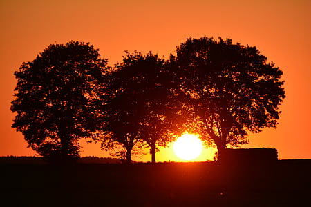 coucher de soleil, humeur, Afterglow, arbre, silhouette, orange, rouge vif