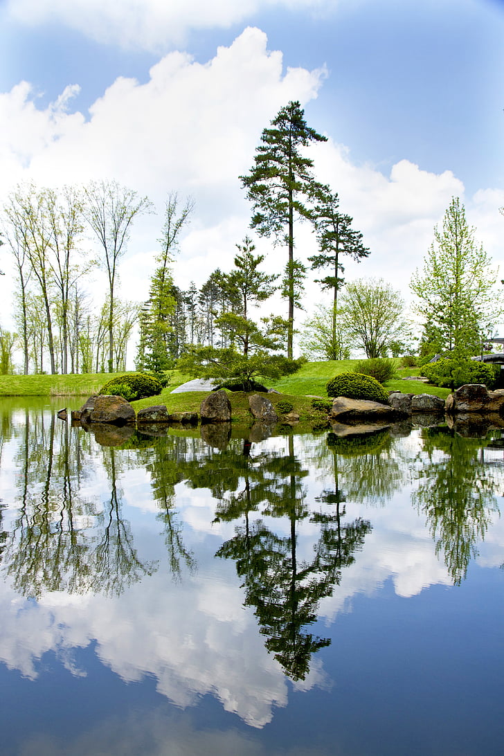 pond, lake, reflection, blue, sky, tree, island
