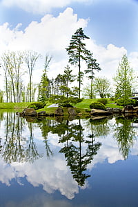 estanque, Lago, reflexión, azul, cielo, árbol, Isla