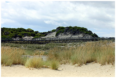 brug, Web, duinen, Spanje, het platform, Mallorca, zand