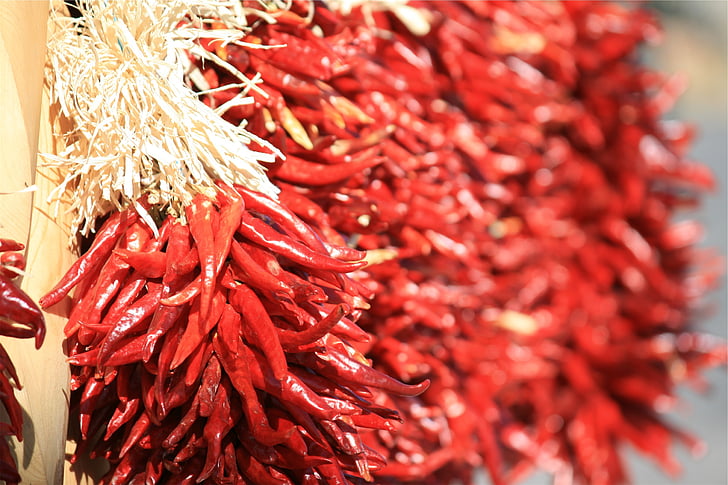 seletiva, foco, fotografia, vermelho, pimentão, quente, chili peppers