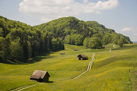 nature, randonnée pédestre, Suisse, Jura, région de Bâle, Zeglingen, paysage
