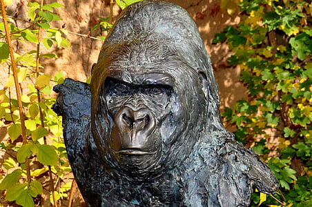 gorila, Bronzinė skulptūra, Wolfgang weber, Erika, statula, beždžionė, Frankfurto zoologijos sodas