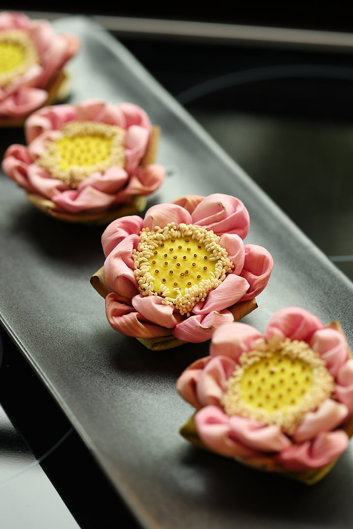 Lotus, blomma, Thai, närbild