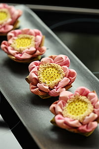 Lótus, flor, Tailandês, close-up