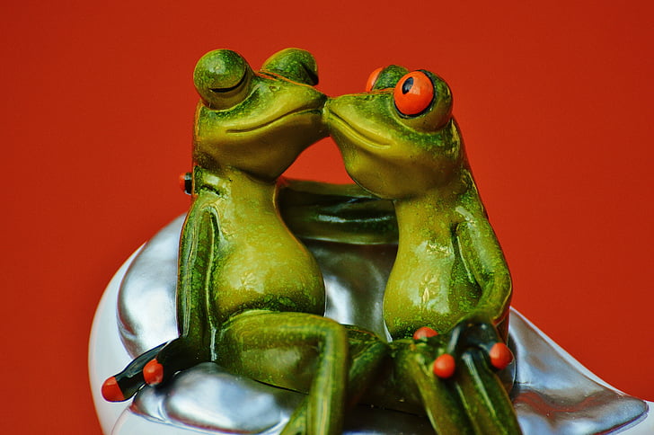žabe, ljubitelji, zabavno, skupaj, smooch, poljub, par