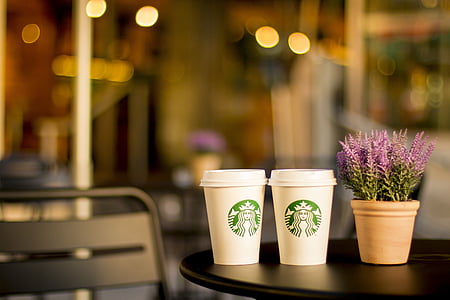 koffie, Café, thee, levensstijl, ketting, Starbucks, coffeeshop