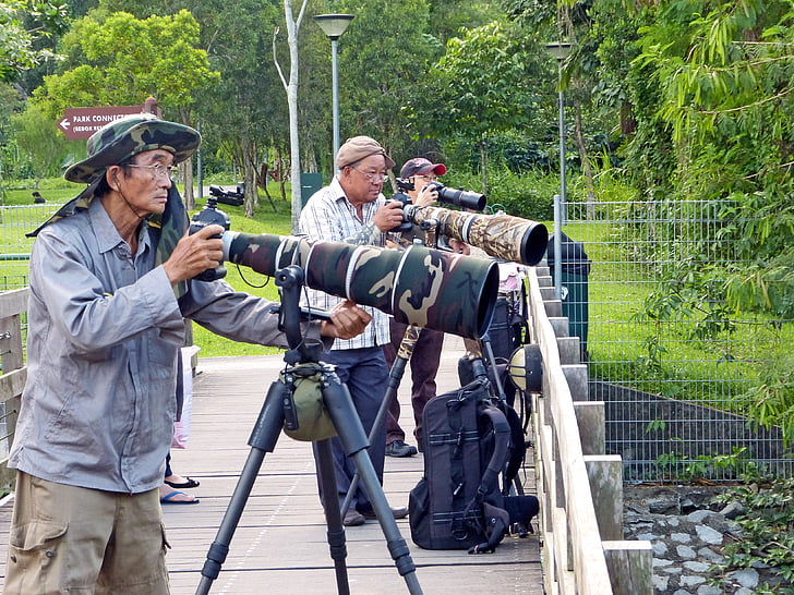 fotografové, Fotografie, fotoaparát, objektiv se zoomem, profesionální, zelená, parku