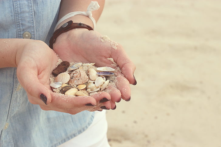 hender, Seashells, stranden, sand, neglelakk, menneskelige hånden, utendørs