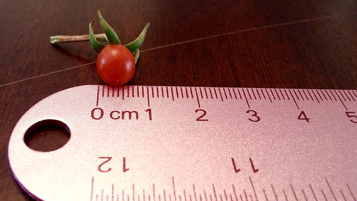 tomato, tiny, ruler, red, food, fruit, cherry