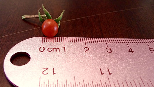 tomat, väike, joonlaud, punane, toidu, puu, kirss
