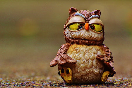 Owl, Buồn cười, cái nhìn xiên, Ngọt ngào, Dễ thương, con chim, bộ lông