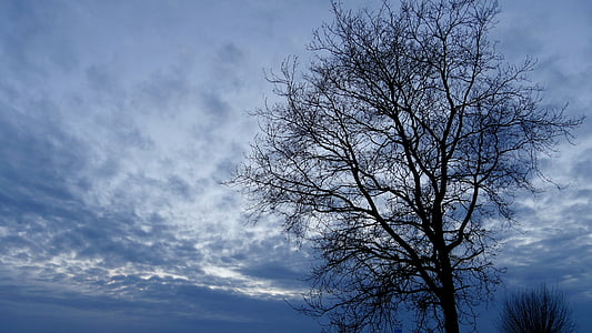 arbre, paysage, coucher de soleil, Sky, fin de semaine, nature, bleu