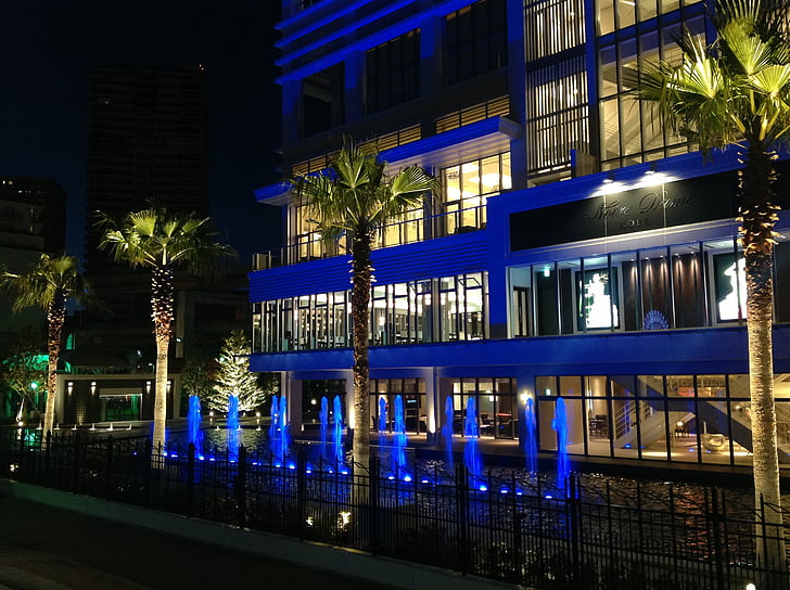 Hôtel, vue de nuit, palmier, bleu, Tropical, Osaka, vue de nuit de kobe