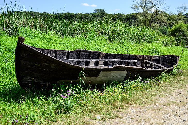 boat, old, field, grass, nature