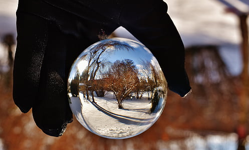bal, glas, winter, sneeuw, zon, spiegelen, bomen