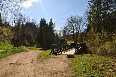 Most, způsob, strom, Příroda, dřevěný most, krajina, Les