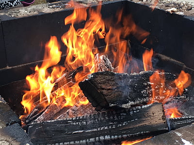 wood fire, fire pit, flame, burning, campfire, logs