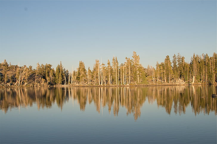zonlicht, Lake, Omringende, bomen, water, reflectie, bos