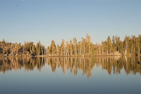 päikesevalguse, Lake, ümbritseva, puud, vee, peegeldus, metsa