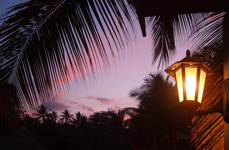 sunset, dominican republic, light, palm trees, evening sky, evening, mood