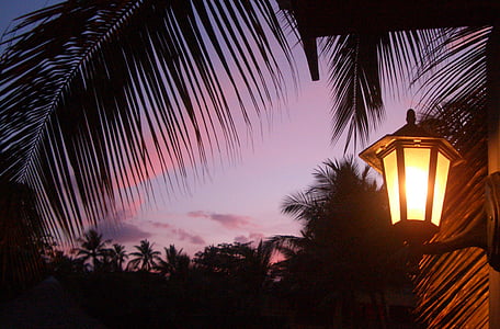 saulriets, Dominikāna, gaisma, palmas, vakara debesis, vakarā, noskaņojums