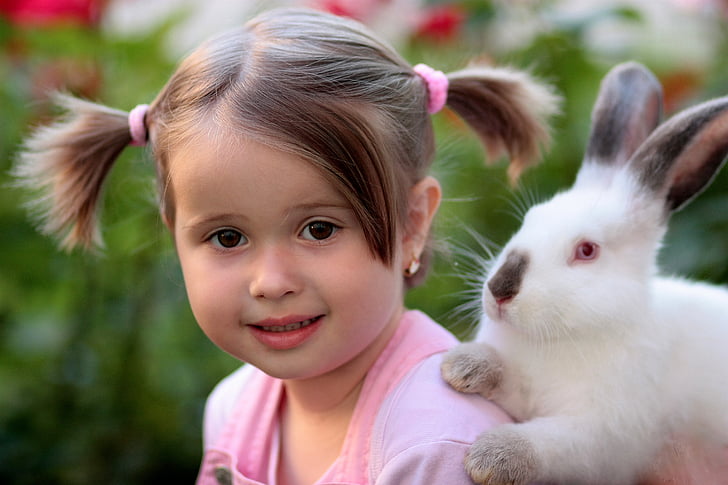 dievča, králik, priateľstvo, láska, spotrebný materiál, králik - zvierat, dieťa