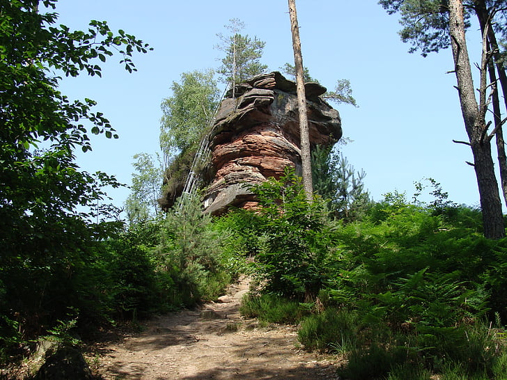 Pfälzerwald, hühnerstein, roca, formación, escalada, piedra arenisca, naturaleza