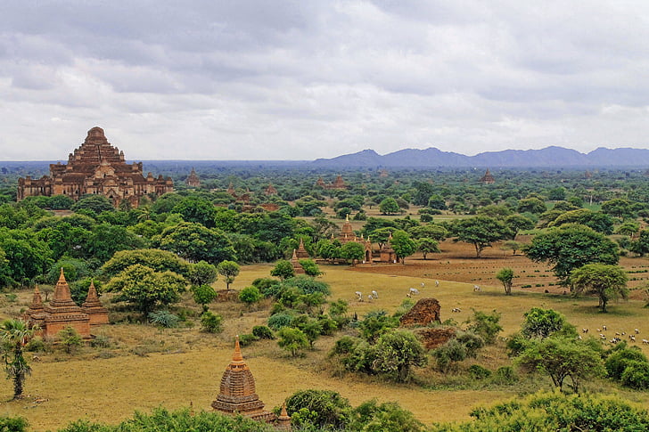 antica, area archeologica, architettura, asiatiche, Bagan, nuvole, foresta