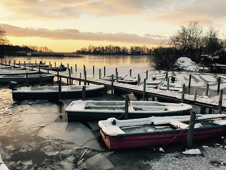 hiver, Berlin, hivernal, neige, Lac, neigeux, froide
