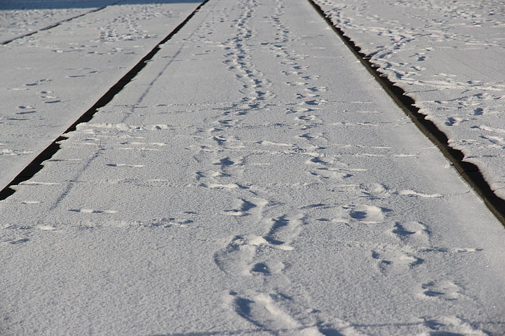 κομμάτια του τραμ, παρακολουθείτε, Ρότερνταμ, χιόνι