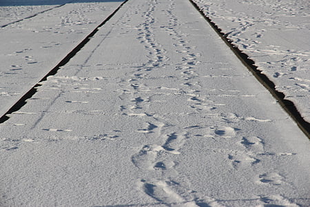 tramrails, bijhouden, Rotterdam, sneeuw