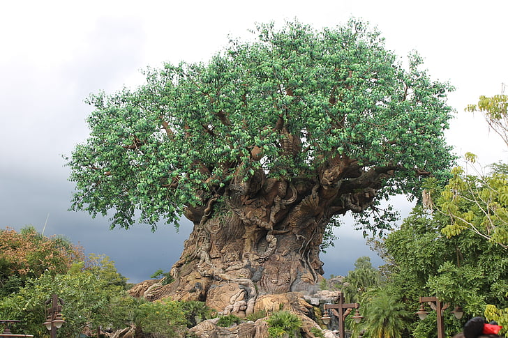 Disney, arbre de vie, animal kingdom, Tourisme, attraction