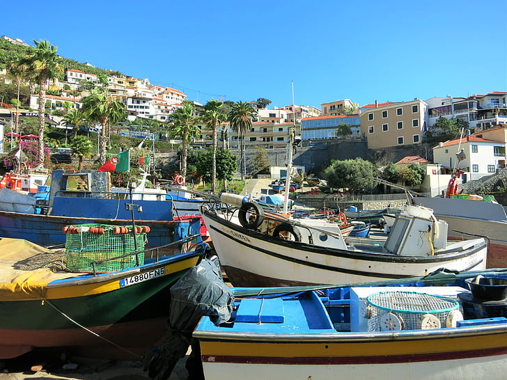 Madeira, balıkçı limanı, tekneler, deniz gemi, Deniz, liman, kıyı şeridi