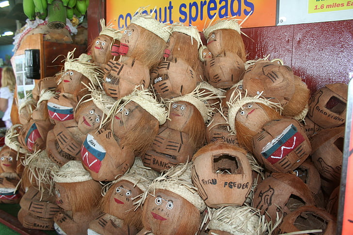 hoofden van de kokosnoot, Hawaii, kokosnoot, Hawaiian, hoofd, eiland