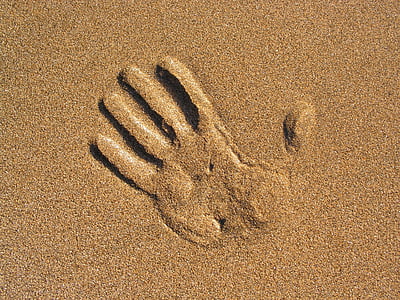 bàn tay, Cát, Bãi biển, một trong những động vật, động vật hoang dã, động vật hoang dã, chủ đề động vật